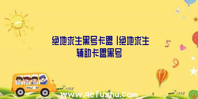 「绝地求生黑号卡盟」|绝地求生辅助卡盟黑号